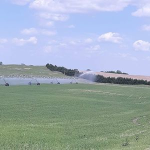 Meet your Posher, Abrie